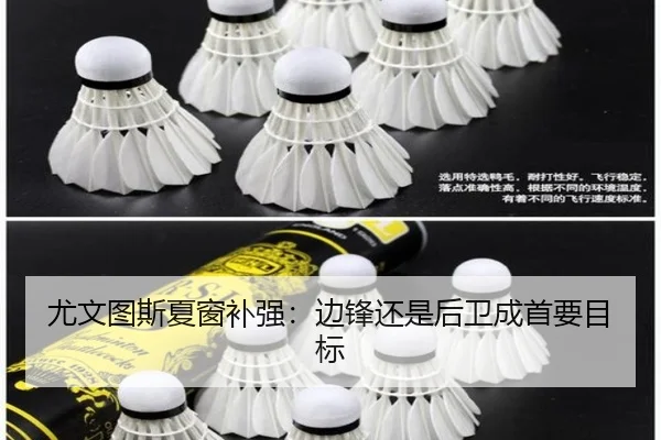 尤文图斯夏窗补强：边锋还是后卫成首要目标